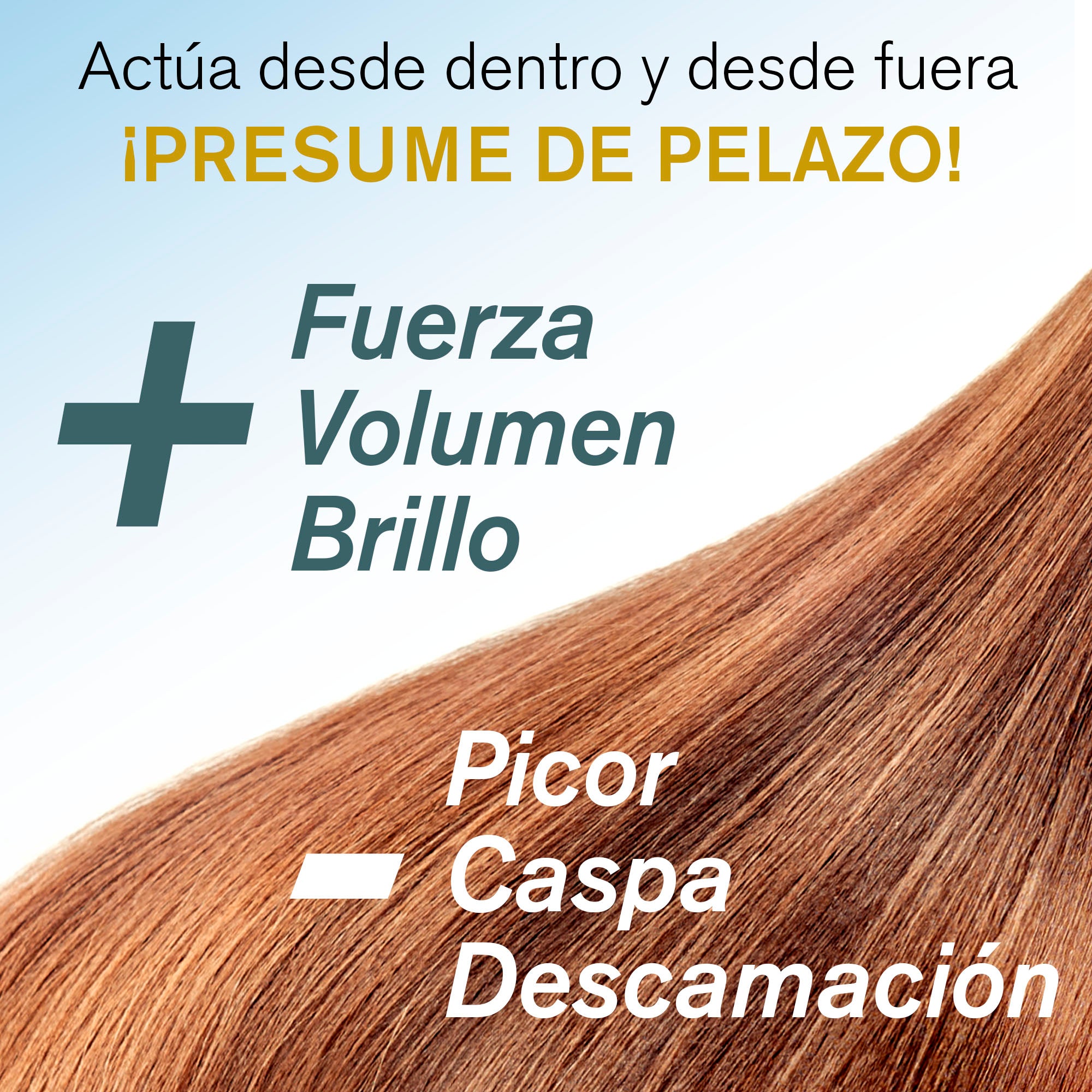 HAIR.O