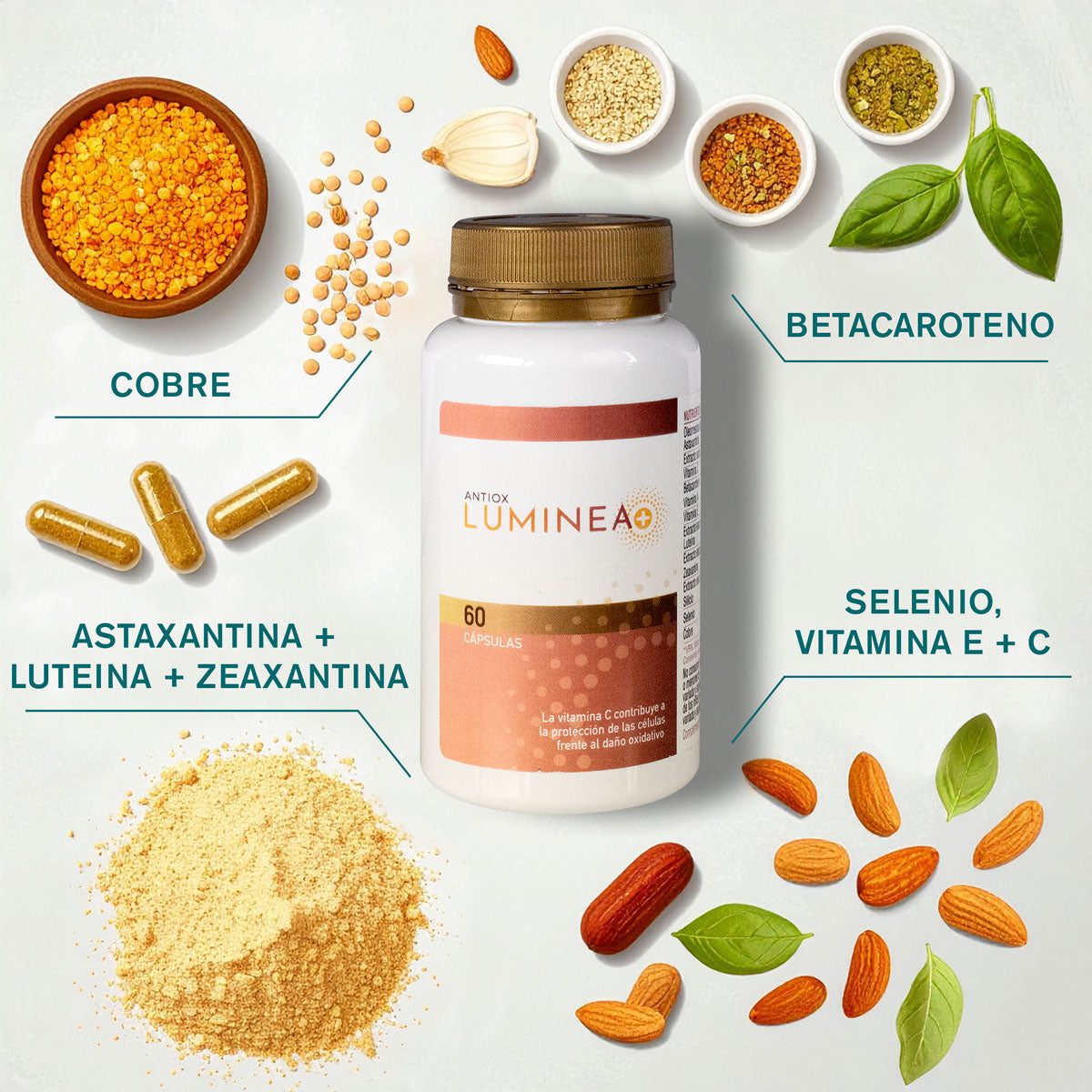 LUMINEA+